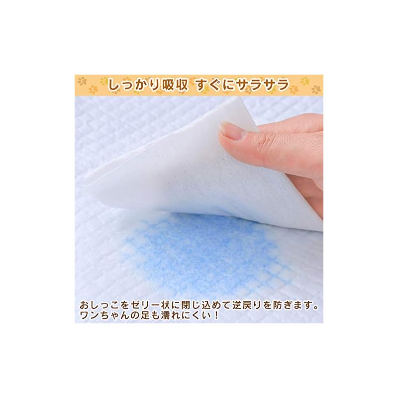 【即納】アイリスオーヤマ ペットシーツ 薄型 1回使い捨て 抗菌 消臭 中型犬大型犬 ダブルワイド 200枚入 (ケース販売)