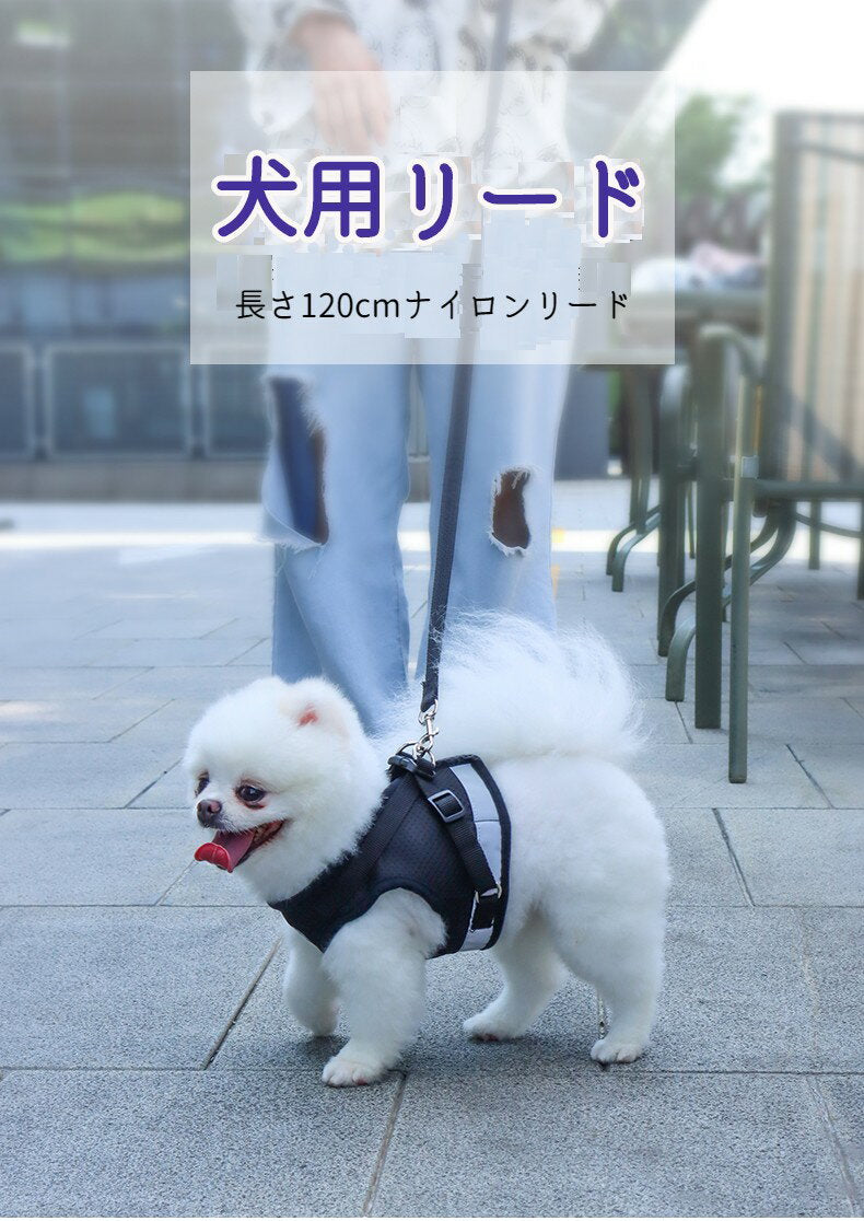 本日のおすすめ ペット メッシュ素材で軽く涼しいハーネス &リードセット 夜間反射ベルト 小型犬 中型犬 シンプル 全6色ペット メッシュ素材で軽く涼しいハーネスペット メッシュ素材で軽く涼しいハーネ