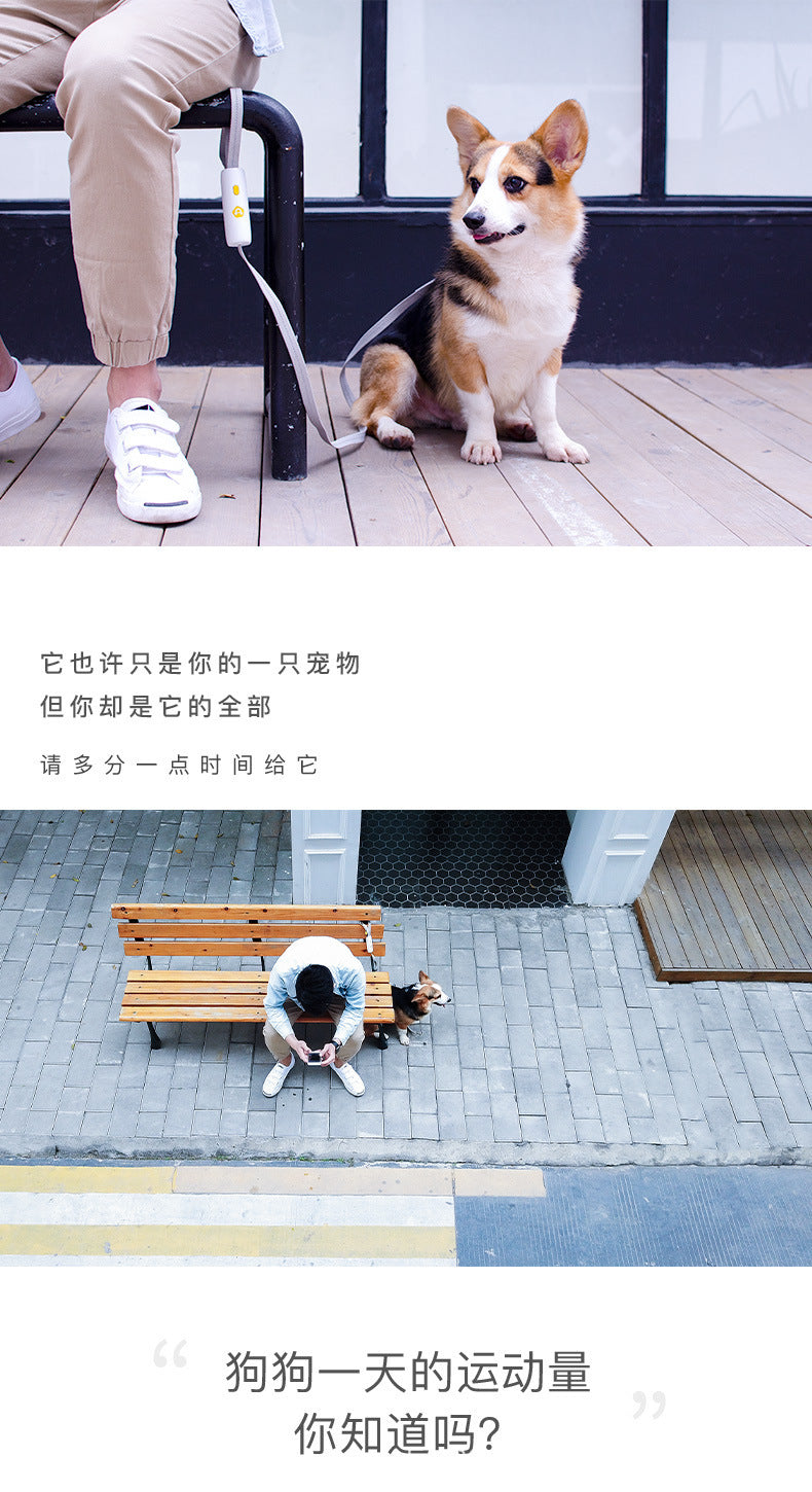 犬用 ペット用品 おしゃれ ハーネス シンプル 猫用 胴輪 ネコ用ハーネス お出かけ ペットハーネス 中型犬 小型犬 犬用ハーネス リーシュ リード 軽量 ハーネスリードセット 2点セット お散歩 犬