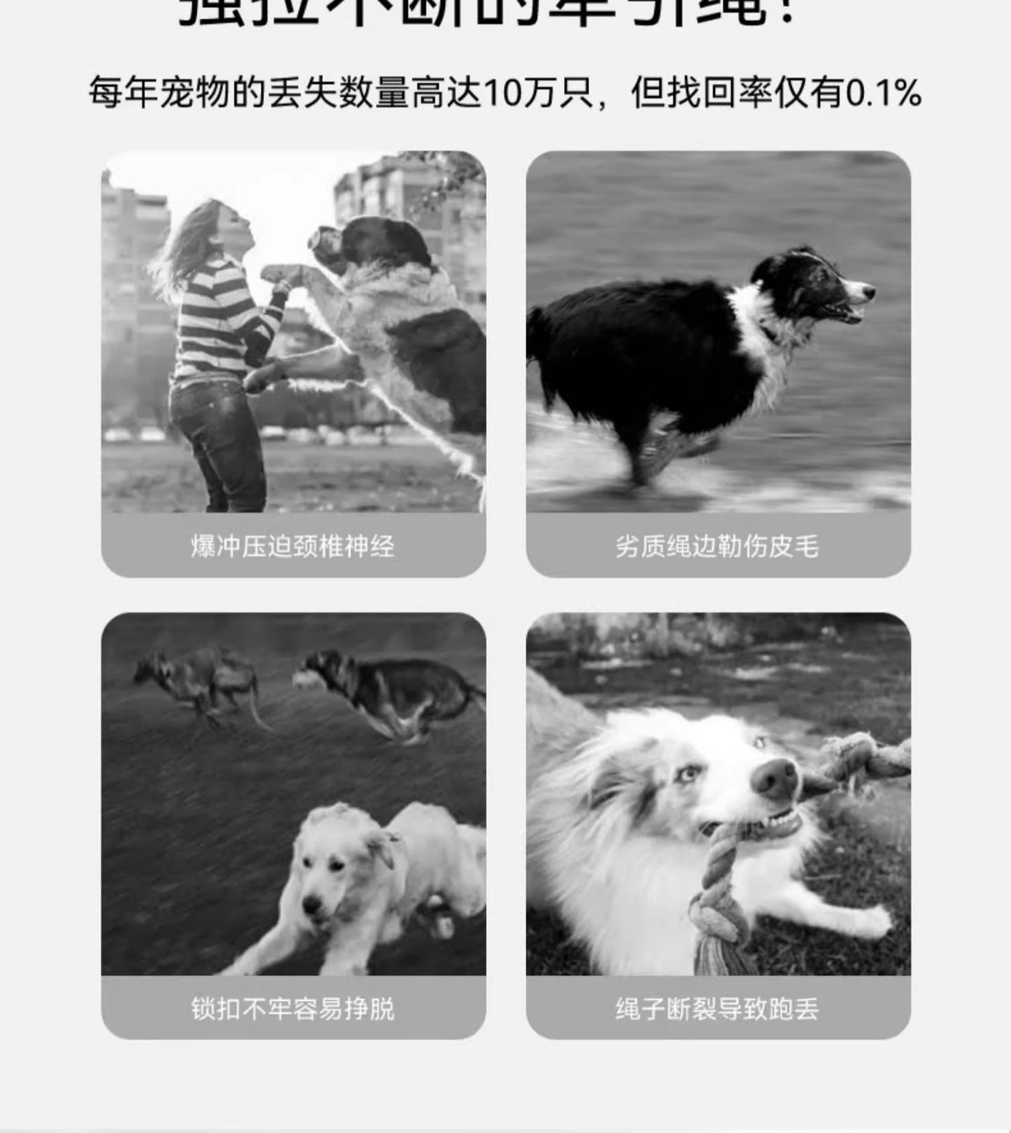 犬 リード ハーネス 紐 散歩紐 犬用デニムハーネス&リード けん引ロープ ペット用品 s01