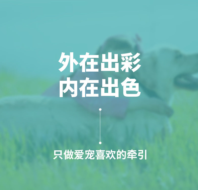 犬用リード 首輪 犬用チェーン 小型中型犬 散歩用リード ペット用品 毛