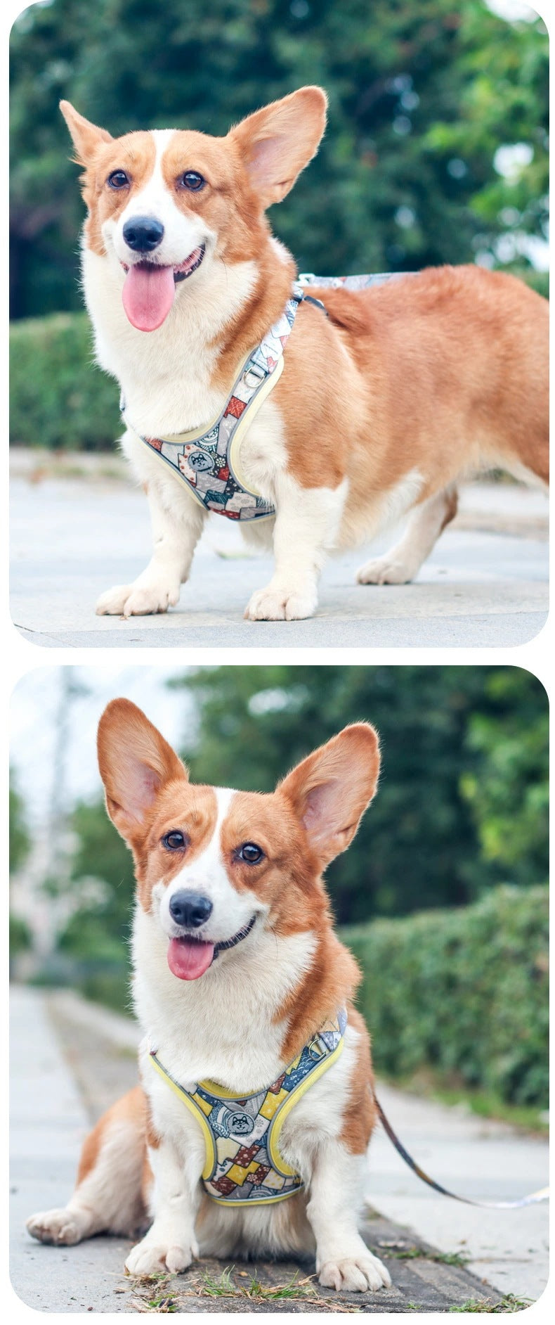 激安セール 新作 和風 ハーネス リード 小型犬 中型犬 身体に優しい 胴輪 簡単装着 反射材付き かわいい おしゃれ 通気性よく心地よい はぐれ防止 脱走防止 よくフィット スエード 合金 中小型犬