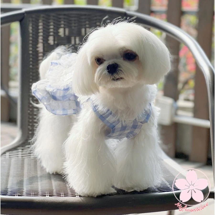 万能流行感 ぺット 服 安い 犬 春 夏 チェック フリル キャミソール かわいい 可愛い ハイブランド 猫 ドッグ ウェア
