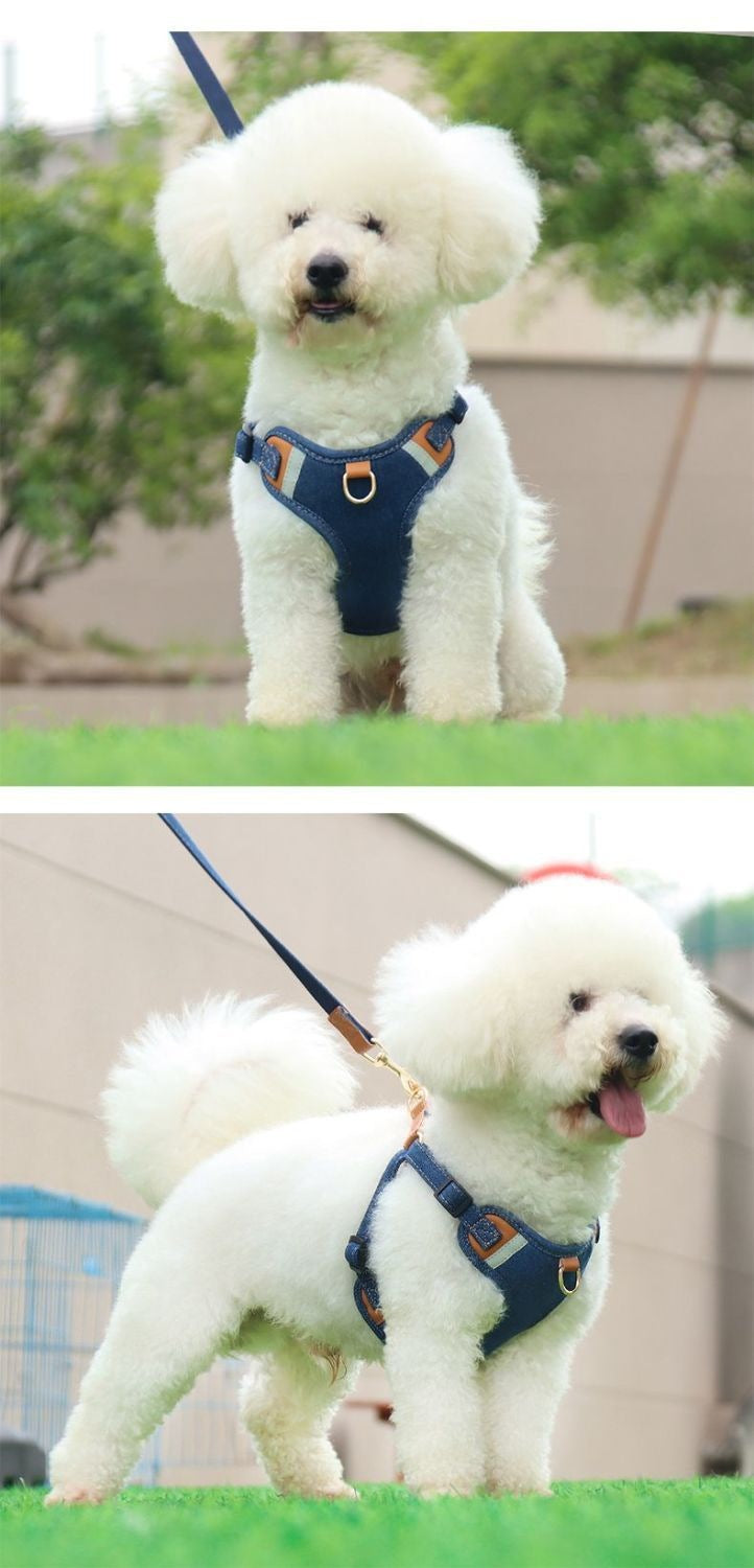 犬の牽引紐の中の小型犬の胸のストラップは光を反射して犬の縄を散歩します