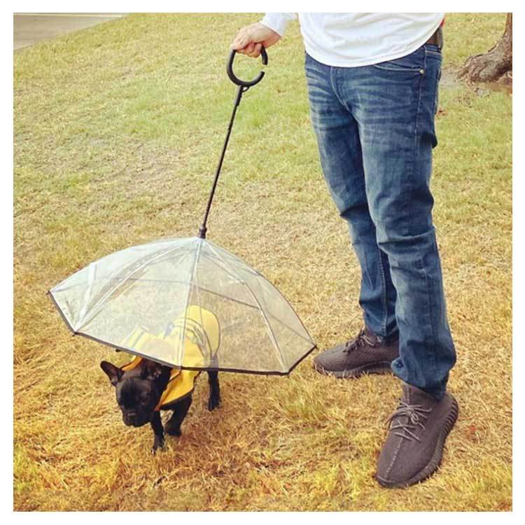 雨具 ペット用 散歩 クリア 犬 中型犬 いぬ お出かけzq リード付き傘 アンブレラ レイングッズ