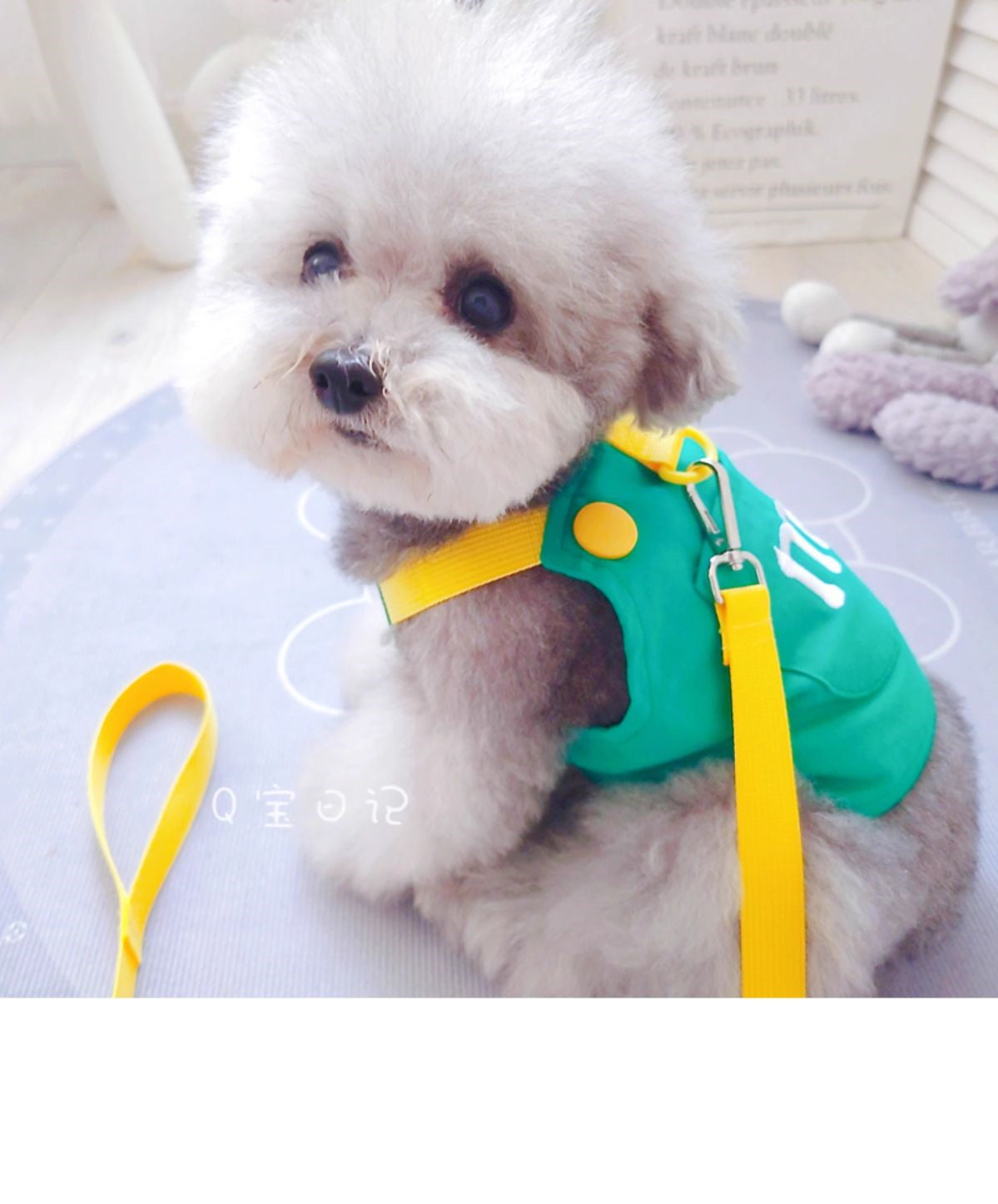 ペットの猫の小型犬のテディの犬の胸のストラップの牽引ロープのベスト式のドッグランの犬のひものかっこいいかわいい衝突色 メガ割ワンピースパンツトートバッグ