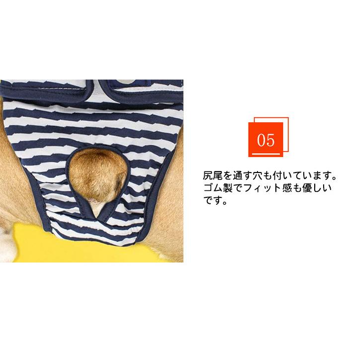 しつけ マナーバンド ボーダー マナーパンツ オムツカバー 介護 ドッグウェア マーキング防止 トイレ 犬 サニタリーパンツ 犬の服 ゼブラ 服