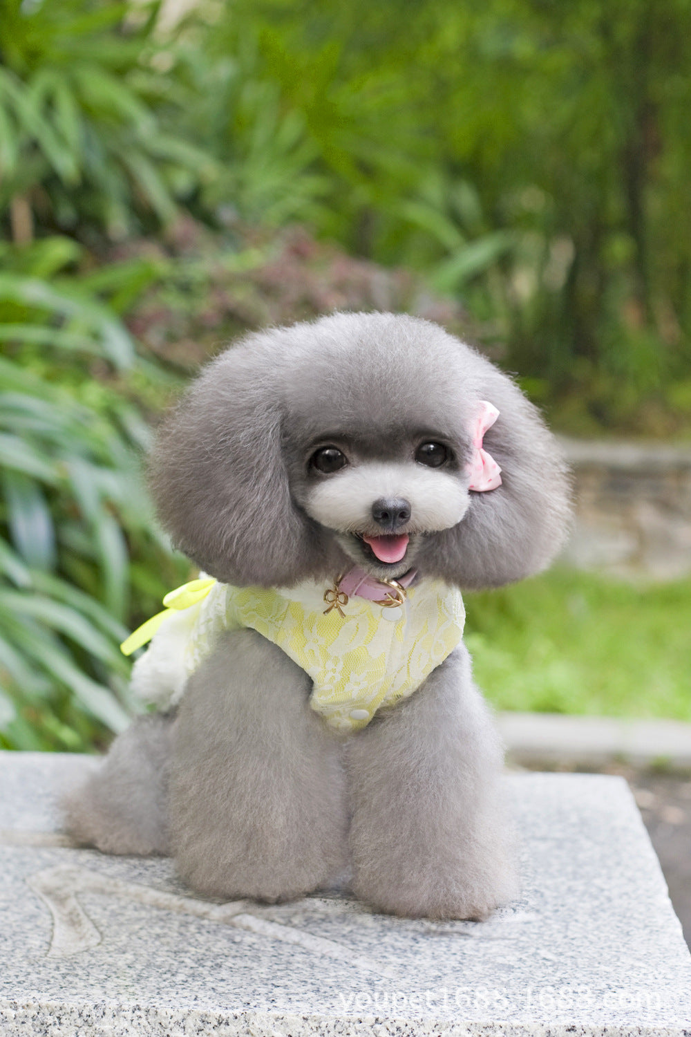 猫 犬 洋服 犬服 ペット服 大中小型犬 ペット用品 犬/猫用 犬の服 ペットウエア 小型犬 中型犬 通気 可愛い ドッグウェア トレーナー 犬 服 ワンピース サロペット ビションフリーゼ 犬猫服