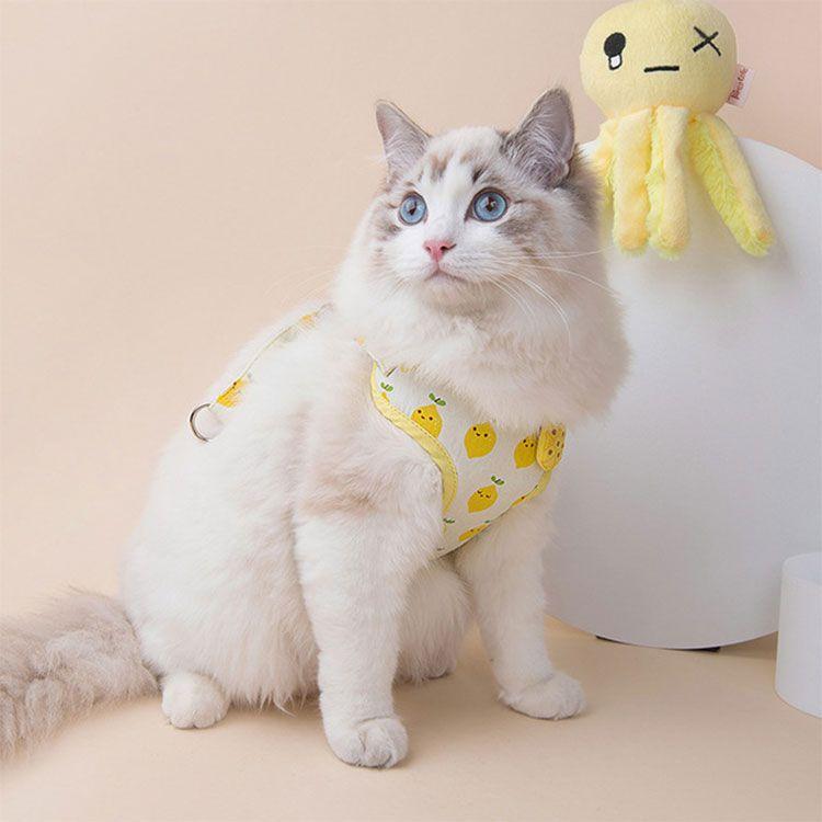 3日以内に出荷 2025新品 2点セット ペット用品 ハーネス リード 猫用 小型犬用 全3色 ポリエステル S ( 15-3kg ) M ( 3-5kg ) L( 5-75kg ) リード長さ12