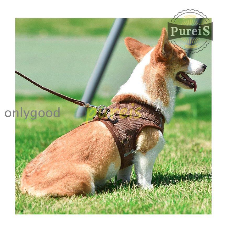 2-5日出荷 新品推奨 犬 ハーネス リード付 ペット服 ウェアハーネス 胴輪 キャット ドッグ メッシュ 一体型 胸あて式 軽量 調節可能 犬用 小型犬 ペット用品 猫用首輪 猫/犬 可愛い ポイン