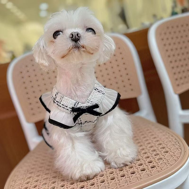 犬の猫の夏の薄いタイプの清新な香りの風は牽引縄を引いて外に出て犬の猫の服を散歩します