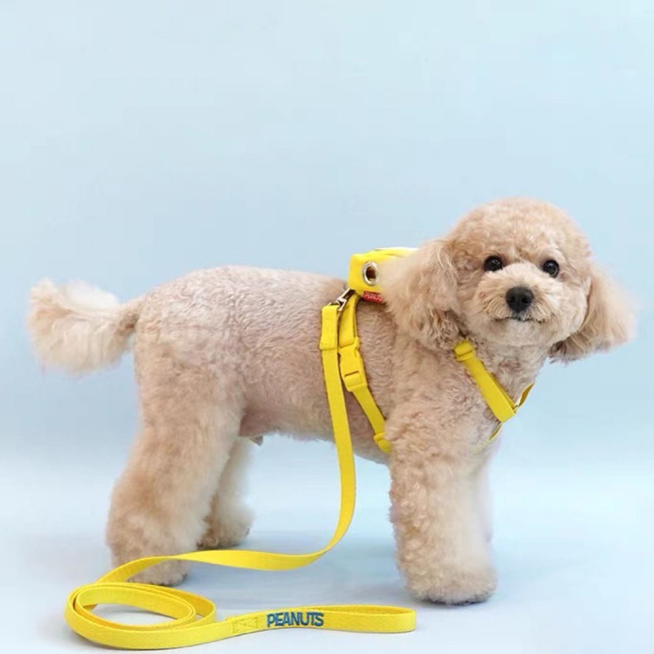犬の牽引紐夏の涼しいタイプのかわいいスヌーピー胸のベルトは犬のリュックサックを散歩します