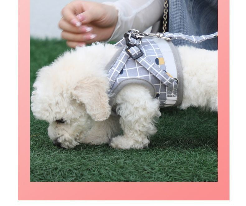 背心式犬牽引紐テディ比熊小型犬胸背ドッグラン子犬チェーンペット用品