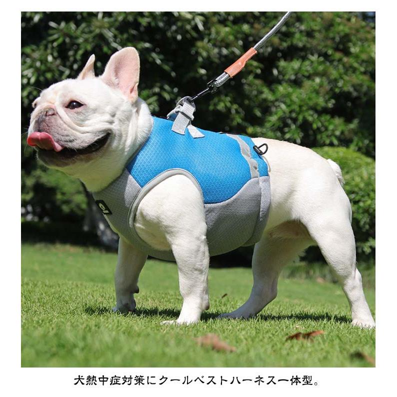 【今月限りのアクティビティ】【出荷が迅速である】犬 熱中症対策 犬クールウェア 犬クールベスト ハーネス 気化熱 冷却 涼しい 犬服 夏用 冷感服 小型犬 中型犬 大型犬 夏用服 紫外線対策 軽量 ク