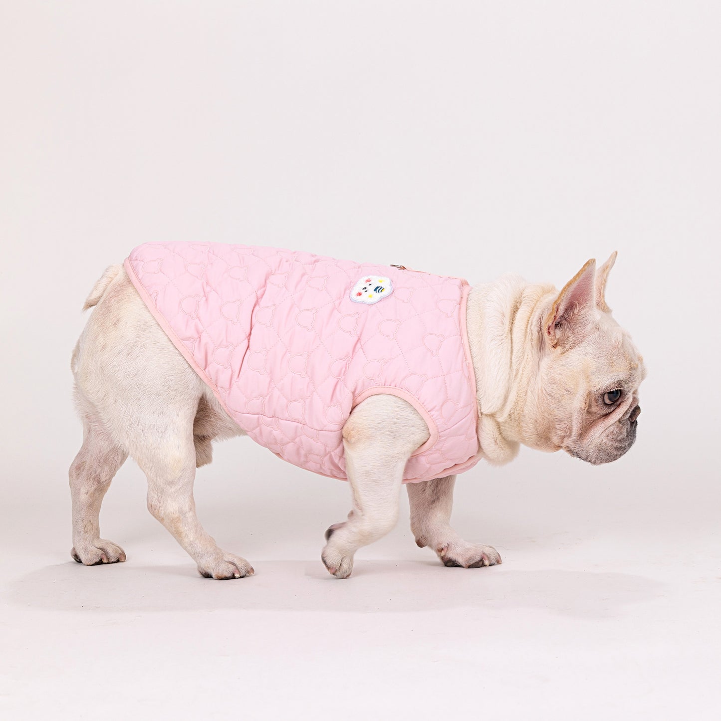 人気ペット服 犬の服 ペットの服 秋冬 ブルドッグモデル ブルドッグ 4色 コットンベスト