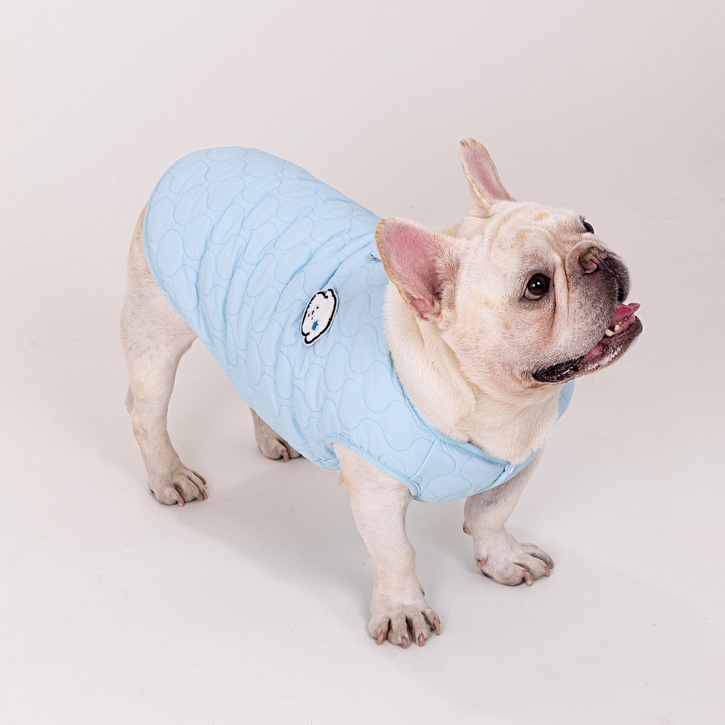 人気ペット服 犬の服 ペットの服 秋冬 ブルドッグモデル ブルドッグ 4色 コットンベスト