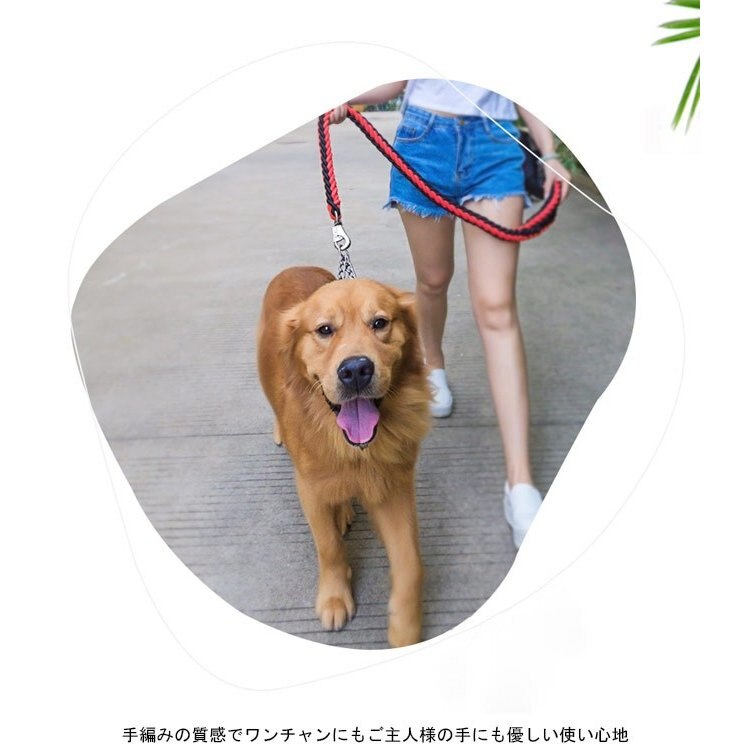 送 料 無 料!犬用 首輪 リード 2点セット 牽引ロープ ペット用品 大型犬 中型犬 牽引縄 セットアップ お洒落 ドッグウェア ハーネス 切り替え