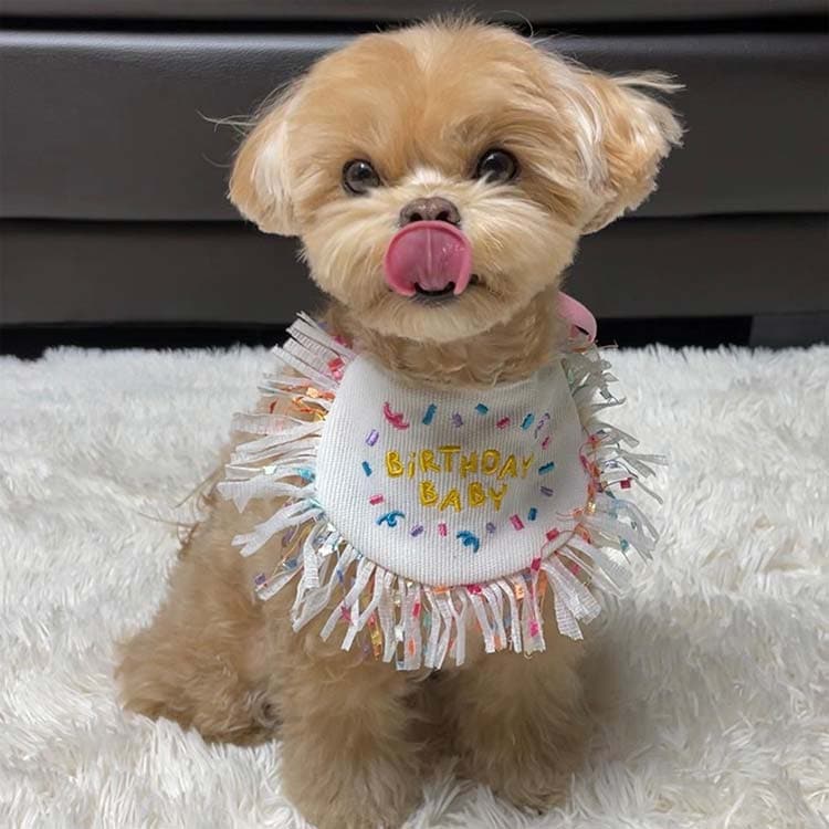新作セール犬 バースデー よだれかけ 猫 かわいい スカーフ 小型犬 ペット用 ビブ 首飾り 誕生日 ハッピーバースデー ドッグウェア アクセサリー おしゃれ いぬ プレゼント ギフト スタイ ネコ