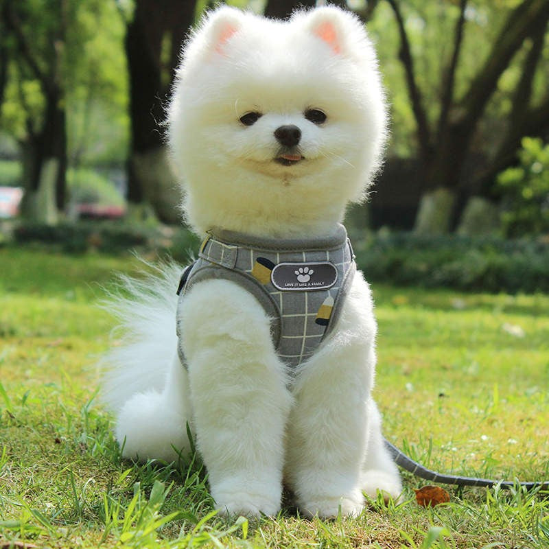 おしゃれな犬服付きセット 犬用ハーネスリード 送料無料 脱げない服 中型犬小型犬 ハーネス犬ベルトチェック