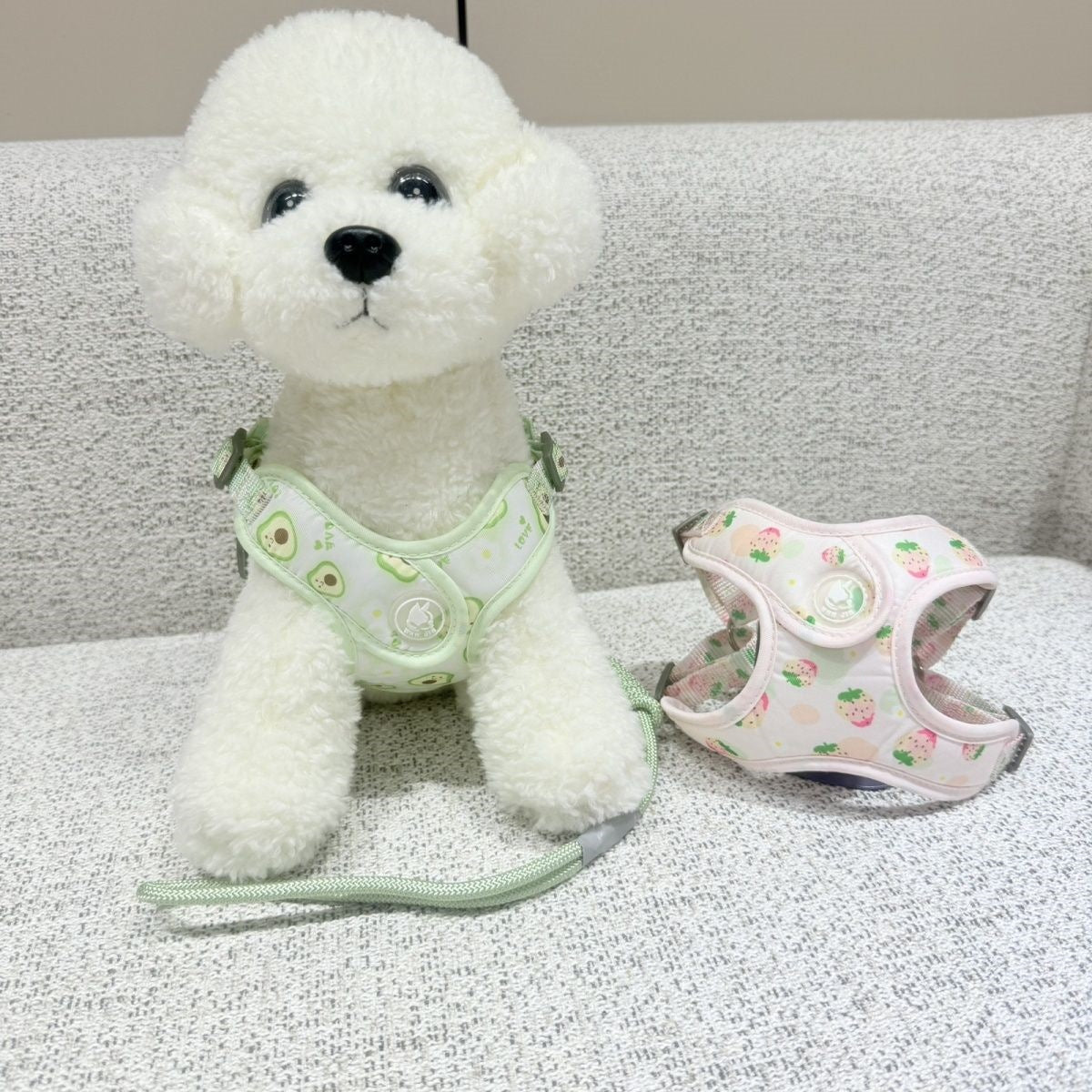 新型伸縮可能な通気性ペットの胸の牽引紐の小型犬は四季を通じて通用します
