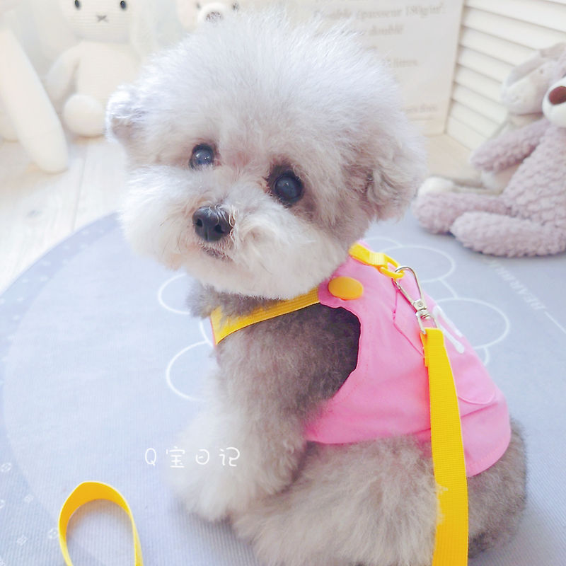 ペットの猫の小型犬のテディの犬の胸のストラップの牽引ロープのベスト式のドッグランの犬のひものかっこいいかわいい衝突色 メガ割ワンピースパンツトートバッグ