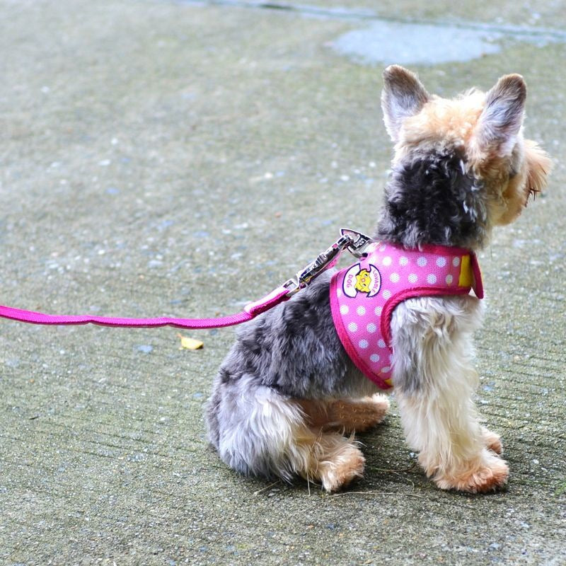 牽引紐通気小型ベスト犬チェーンテディはペットを連れて犬を散歩します メガ割ワンピースパンツトートバッグ