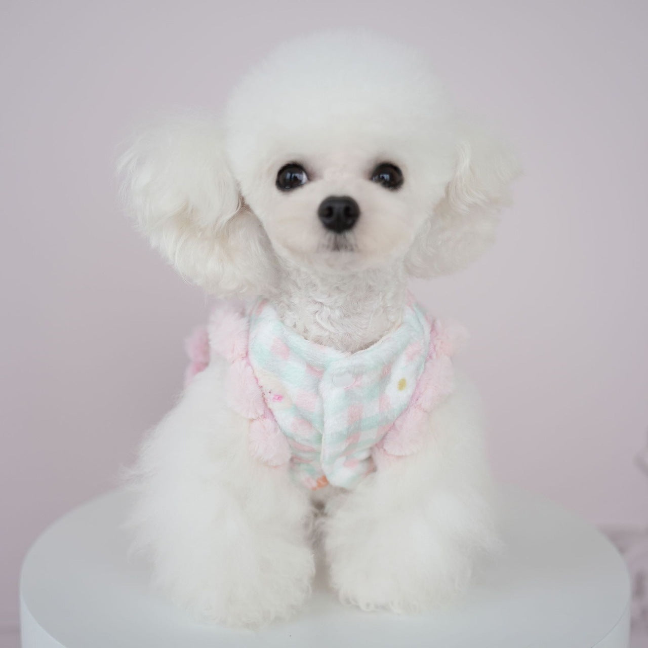 犬服秋冬新作 犬服 チェック柄 くま いちご スカート 猫 かわいい あったか スカート