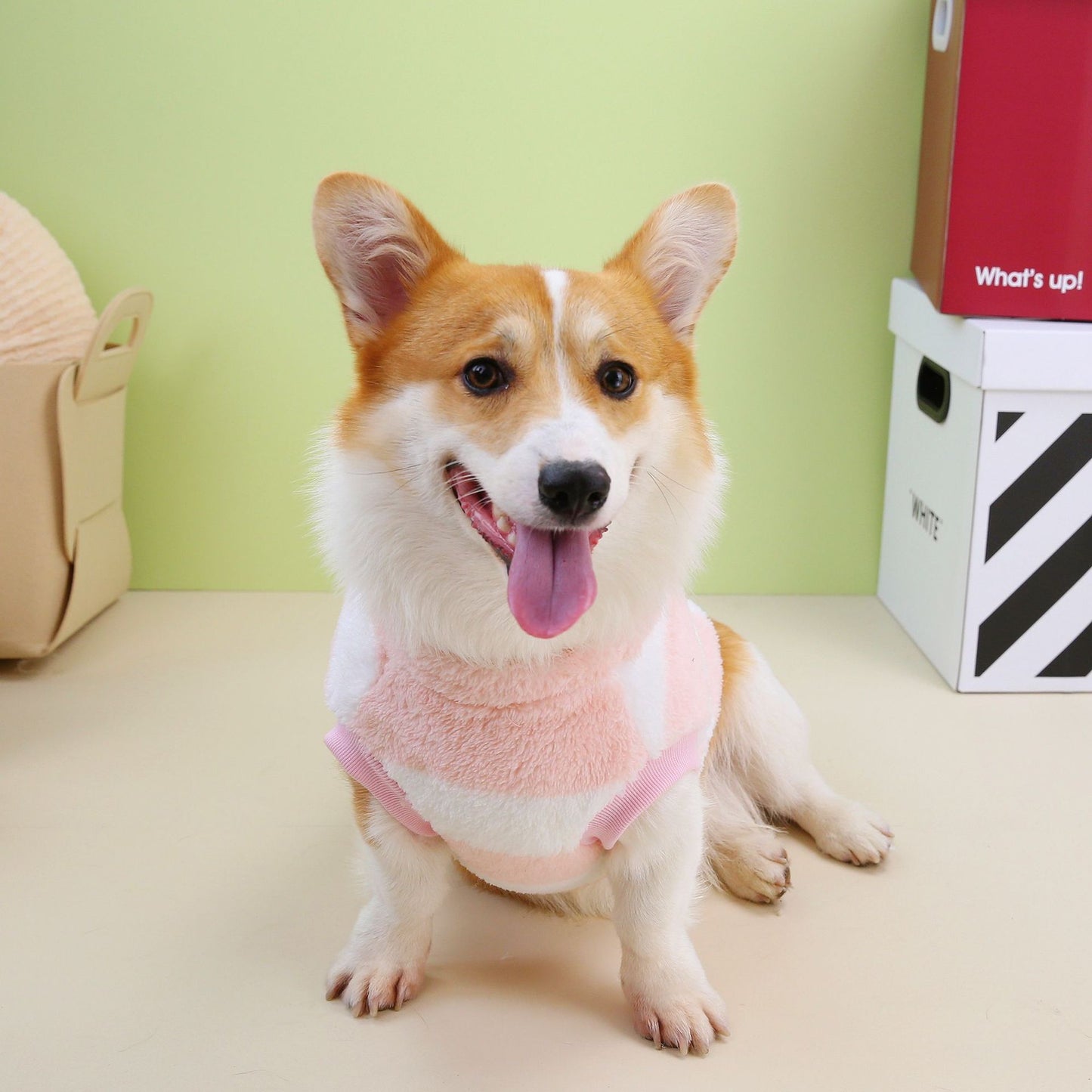 猫 犬 洋服 犬服 ペット服 大中小型犬 ペット用品 犬/猫用 犬の服 ペットウエア 小型犬 中型犬 通気 可愛い ドッグウェア トレーナー 犬 服 ワンピース サロペット ビションフリーゼ 犬猫服