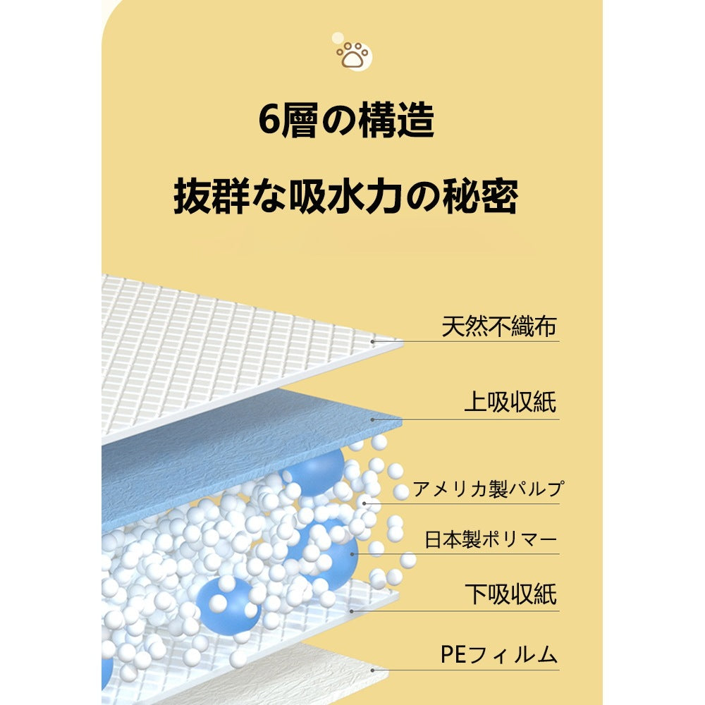 <a href="https://www.qoo10.jp/gmkt.inc/Search/brand.aspx?brandno=109151" target="_blank" class="title_brand" id="btn_brand" title="Honeycare">Honeycare</a>ペットシーツ 薄型 ペットシート 犬猫 サイズ選択可 レギュラー 800枚 ケース販売