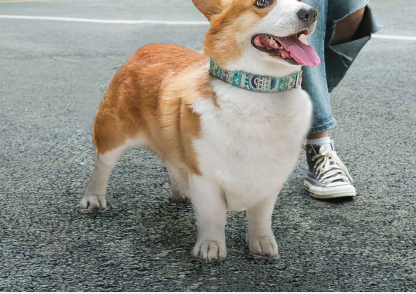 犬 リード ハーネス 紐 散歩紐 犬用デニムハーネス&リード けん引ロープ ペット用品 s12