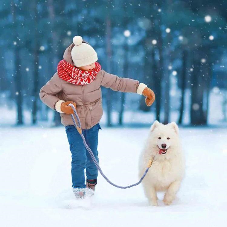 犬 リード ロープ 手作り ハンドメイド 自然素材 低アレルギー性 天然コットン 綿 本革 リアルレザー ゴールド 丈夫 かわいい おしゃれ 小型犬 中型犬 大型犬