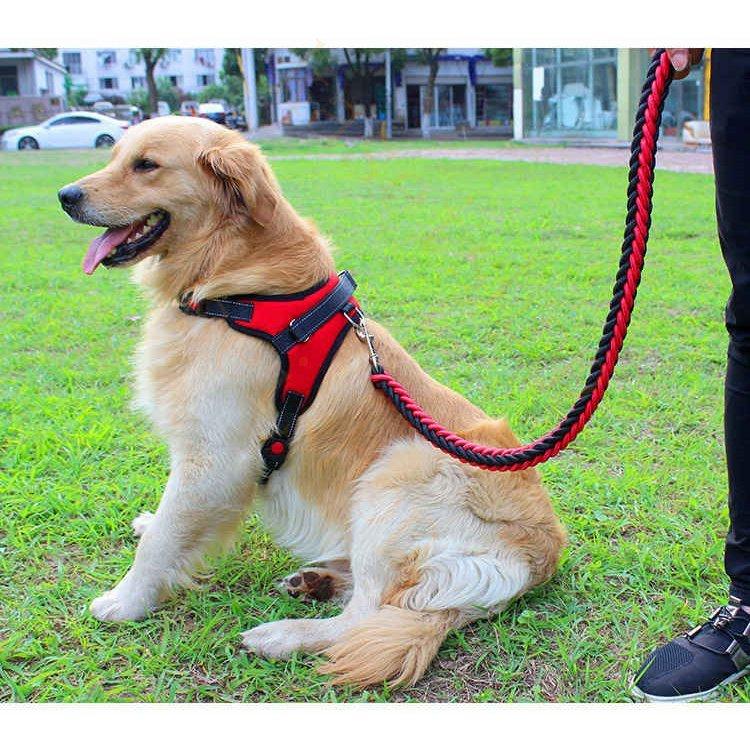 ハーネスリード胴輪首輪犬用中型犬大型犬小型犬スプリングペット8の字ハーネス通気性リードハーネスセットドッグランお散歩脱着簡単