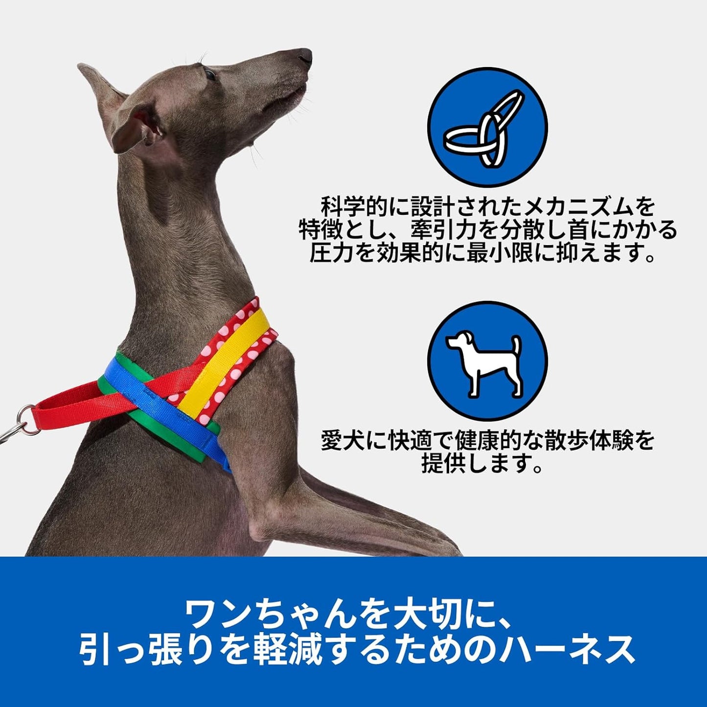 ベトレスカ ハーネス CHROMA ハーネスリード リュックセット 可愛い 犬用散歩 トレーニング用 調節可能 咳き込み軽減 簡単なコントロール 抜けない 通気性 簡単着脱 おしゃれ 柔らかなパッド