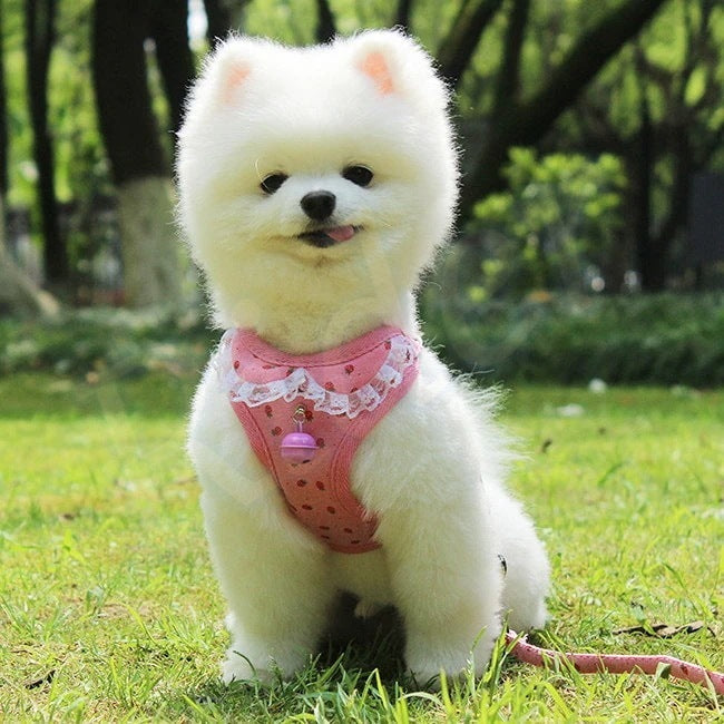 ペット用品犬の服犬用ハーネスリード3色カモフラージュストロベリーレースかわいいファッショナブルな安全482