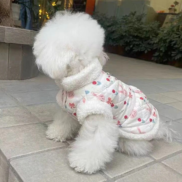秋冬の犬服 テディボーミペットのコキシナレビーベア愛らしい 犬猫服秋冬服 パープル セーター 可愛らしい 暖かい野球服 冬アウター