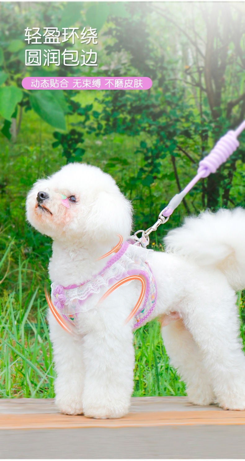 新品犬牽引紐猫牽引紐子犬ストラップテディ犬胸ストラップ子猫牽引紐通用 メガ割ワンピースパンツトートバッグ