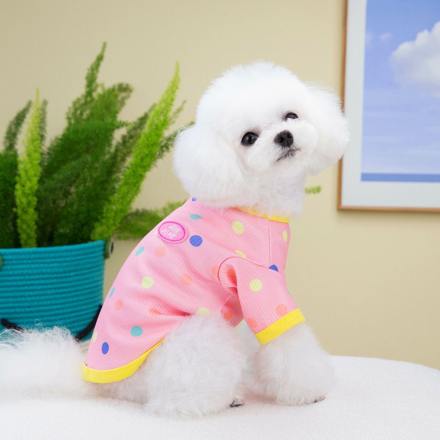 猫 犬 洋服 犬服 ペット服 大中小型犬 ペット用品 犬/猫用 犬の服 ペットウエア 小型犬 中型犬 通気 可愛い ドッグウェア トレーナー 犬 服 ワンピース サロペット ビションフリーゼ 犬猫服