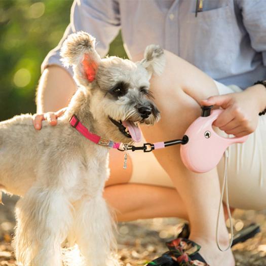 伸縮リード 伸びるリード 5M 犬リード ロック機能付 ワンタッチ 巻き取り犬用引きヒモ 巻き取り 犬用リード