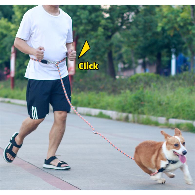 犬 リード 2.6m ショルダーリード 肩掛けリード 2頭引き リード ロングリード 反射機能 小型犬 中型犬 散歩 コンパクト 長い 多頭飼い