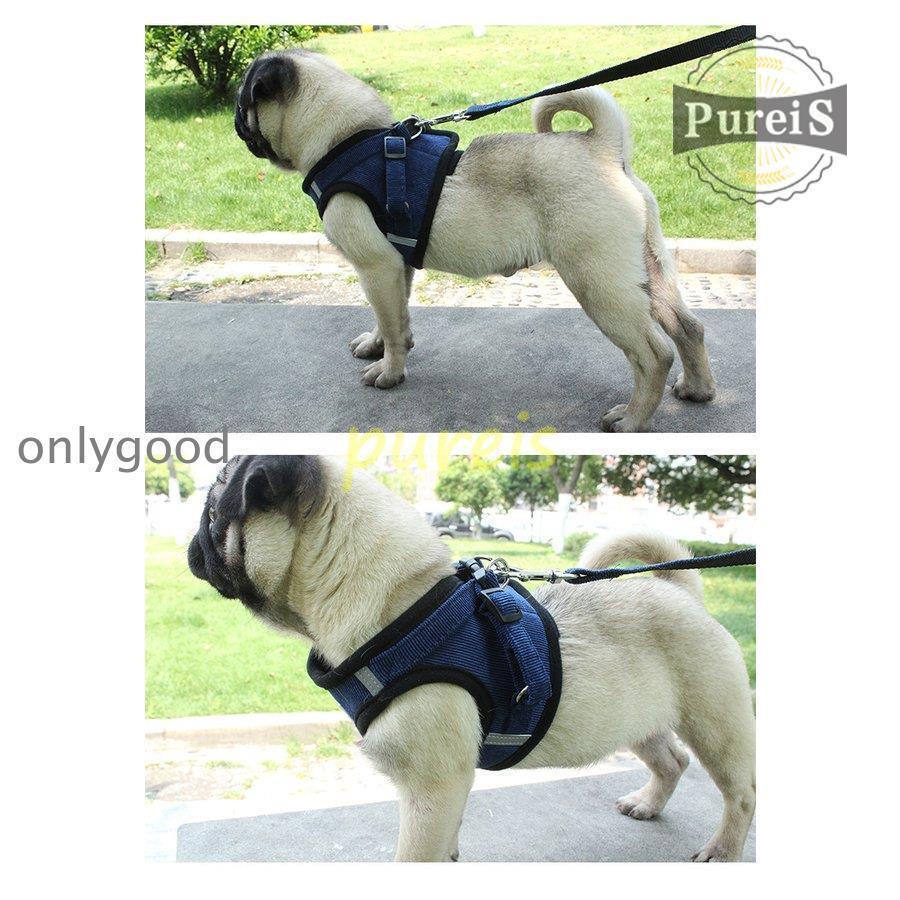 2-5日出荷 新品推奨 犬 ハーネス リード付 ペット服 ウェアハーネス 胴輪 キャット ドッグ メッシュ 一体型 胸あて式 軽量 調節可能 犬用 小型犬 ペット用品 猫用首輪 猫/犬 可愛い ポイン
