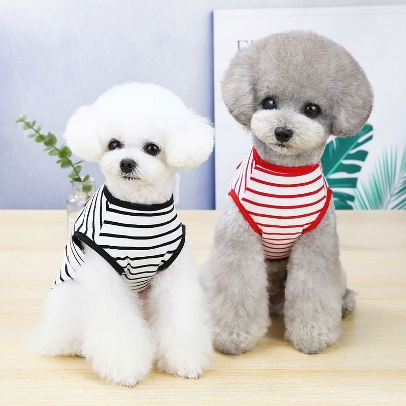夏用 ストライプ薄手ベスト 通気性抜群 ビションフリーゼ シュナウザー 犬 服 犬 服 犬服 犬の服 ペット用品 ハーネス 小型犬