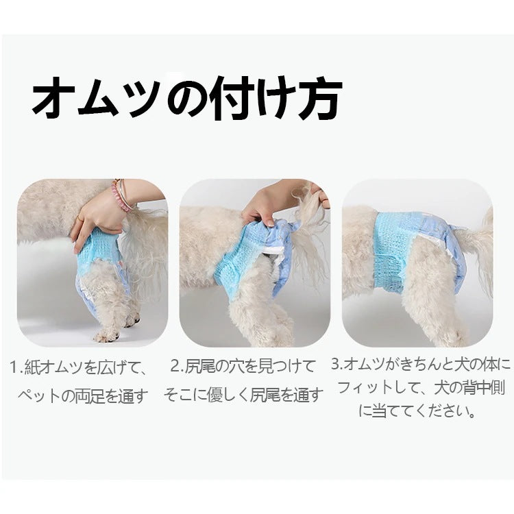<a href="https://www.qoo10.jp/gmkt.inc/Search/brand.aspx?brandno=109151" target="_blank" class="title_brand" id="btn_brand" title="Honeycare">Honeycare</a>犬用 紙おむつ 40枚 パンツタイプ マナーおむつ 男女兼用 オムツ しつけ 介護 紙おむつ 犬 猫 ペット用紙おむつ