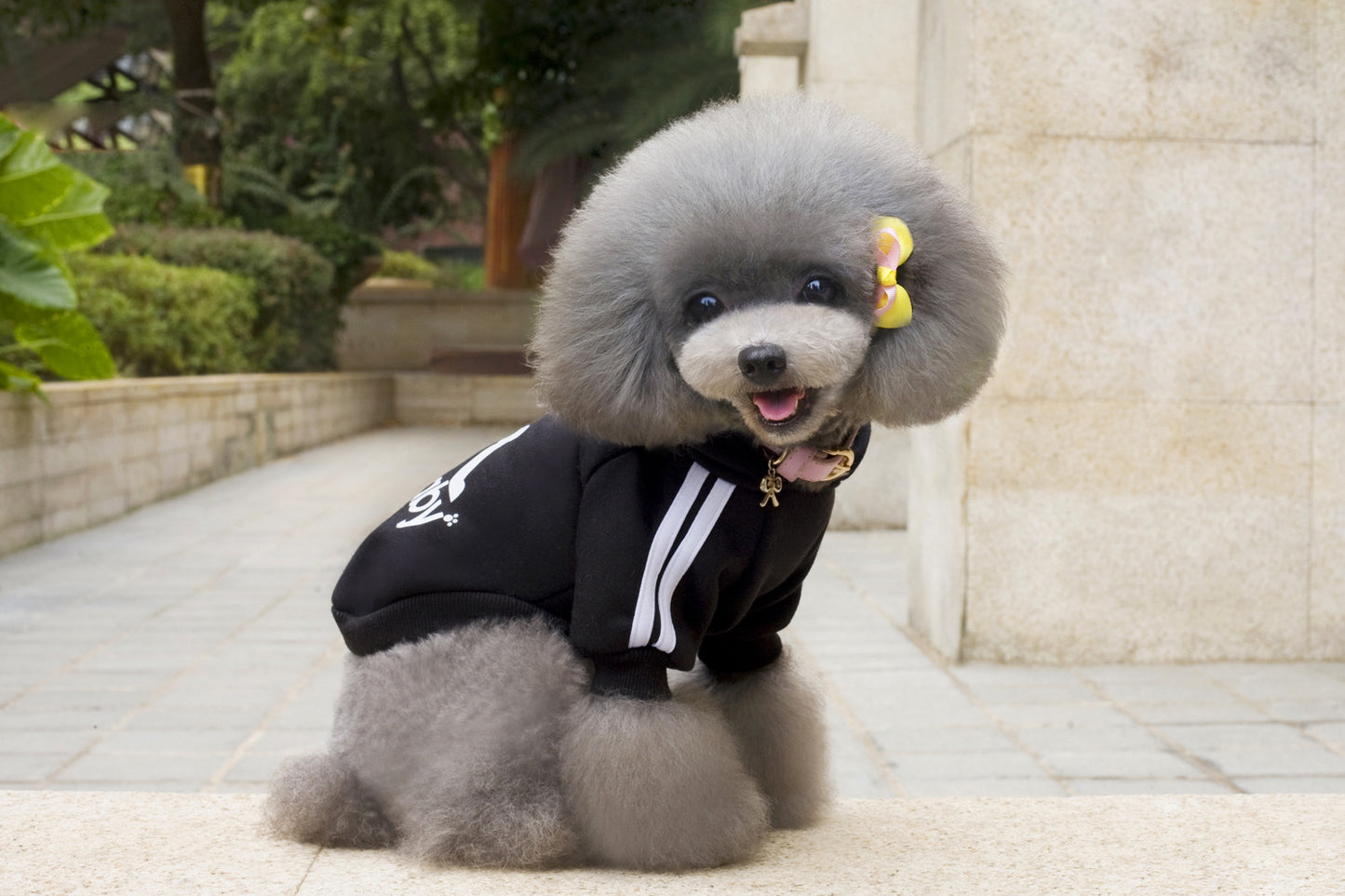 猫 犬 洋服 犬服 ペット服 大中小型犬 ペット用品 犬/猫用 犬の服 ペットウエア 小型犬 中型犬 通気 可愛い ドッグウェア トレーナー 犬 服 ワンピース サロペット ビションフリーゼ 犬猫服
