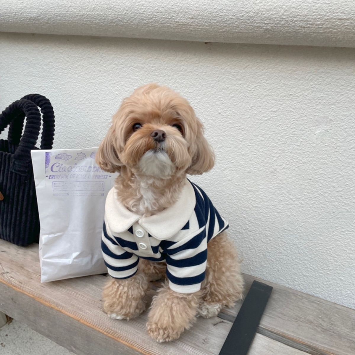 ペット服 ボーダーポロシャツ 小型犬の服 テディ ビションフリーゼ ポメラニアン 猫 小型犬&中型犬 犬 服 犬の服 犬 洋服 犬の服夏 犬洋服