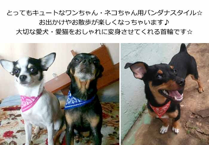 スタイル バンダナ ペット 服 犬 猫 首輪 ペットグッズ ベイズリー スカーフ キャット ドッグ