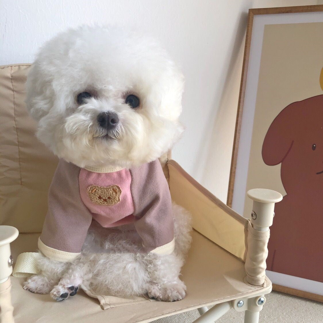 韓国 ペットウェア 新しい切り替えペット冬服 暖かいゆったりペットウェア シンプル中型犬服 可愛い