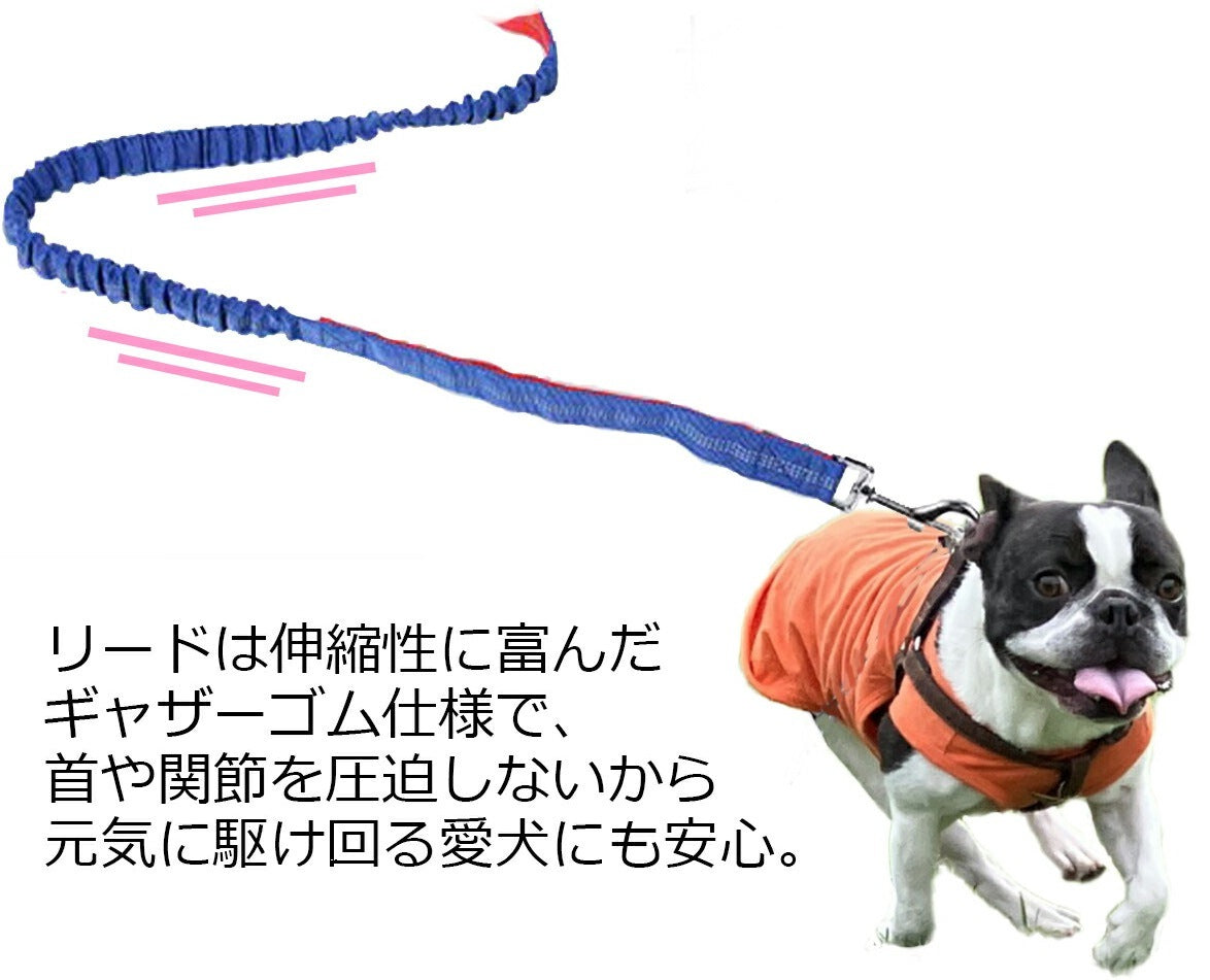 多機能リード 犬用リード ハンズフリー 肩掛け 斜め掛け リード 腰ベルト 伸縮 調節可リード