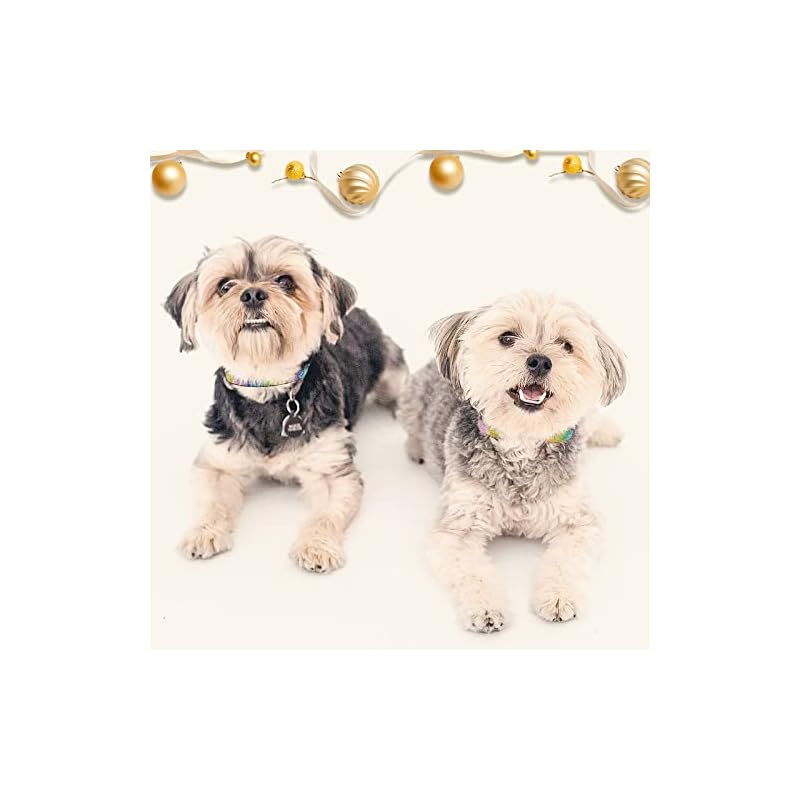 【即納】Kalevel クリスタル 首輪 ラインストーン 可愛い首輪 キラキラ ペット 犬用品 猫 安全 軽い 小型犬 ビロード製 首輪長さ調節 散歩グッズ 快適 グリッター セーフティバックル リボ