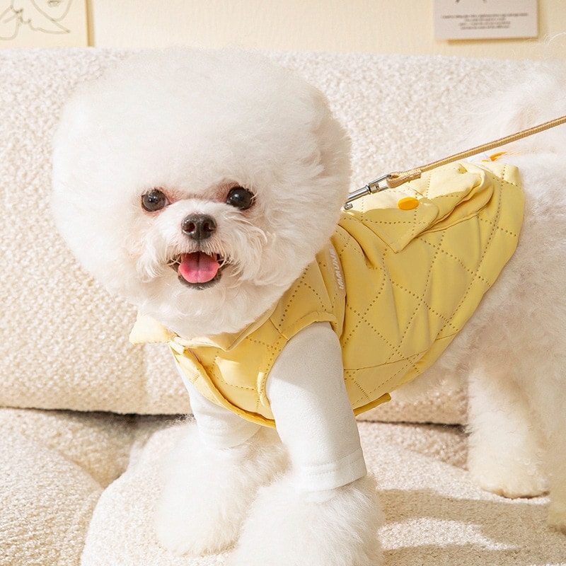 秋冬の犬服 テディボーミペットのコキシナレビーベア秋冬服 小型犬は猫のペットの保温服を牽引することができる