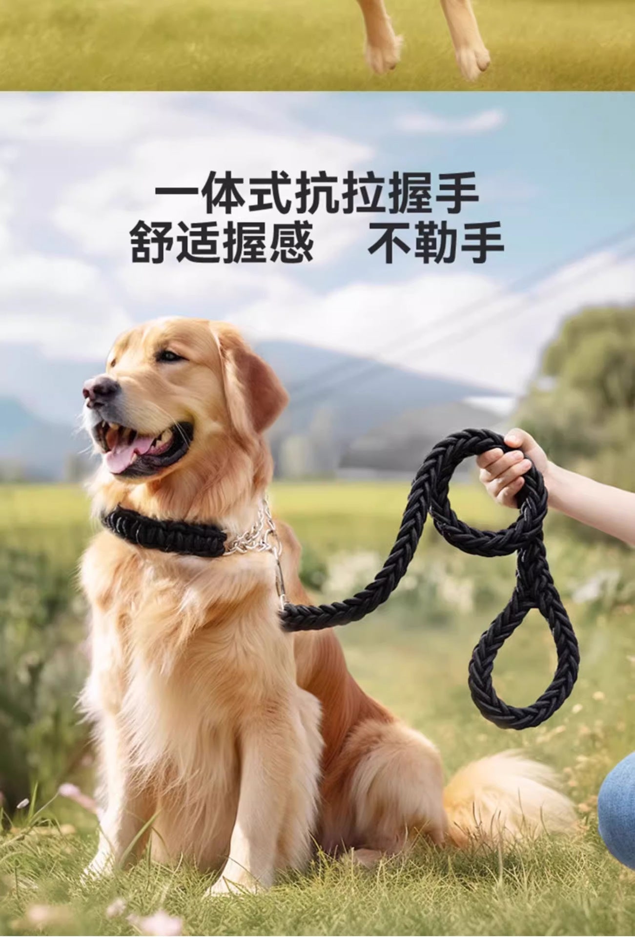犬 リード ハーネス 紐 散歩紐 犬用デニムハーネス&リード けん引ロープ ペット用品 s01